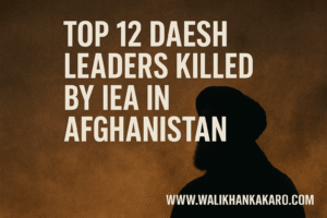 Top 12 Daesh leaders killed by IEA in Afghanistan