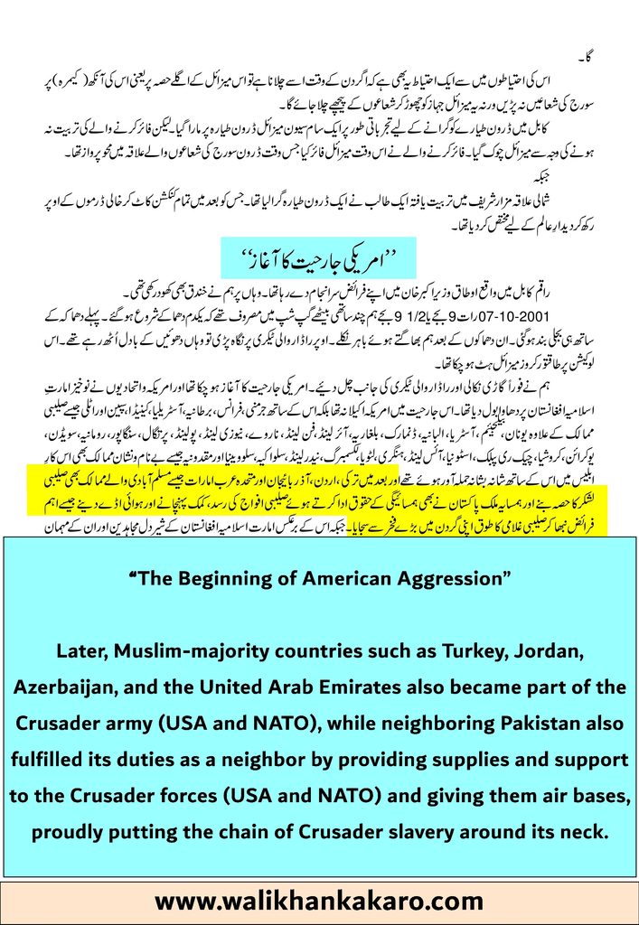 Muslim countries allied with America against the Taliban 1