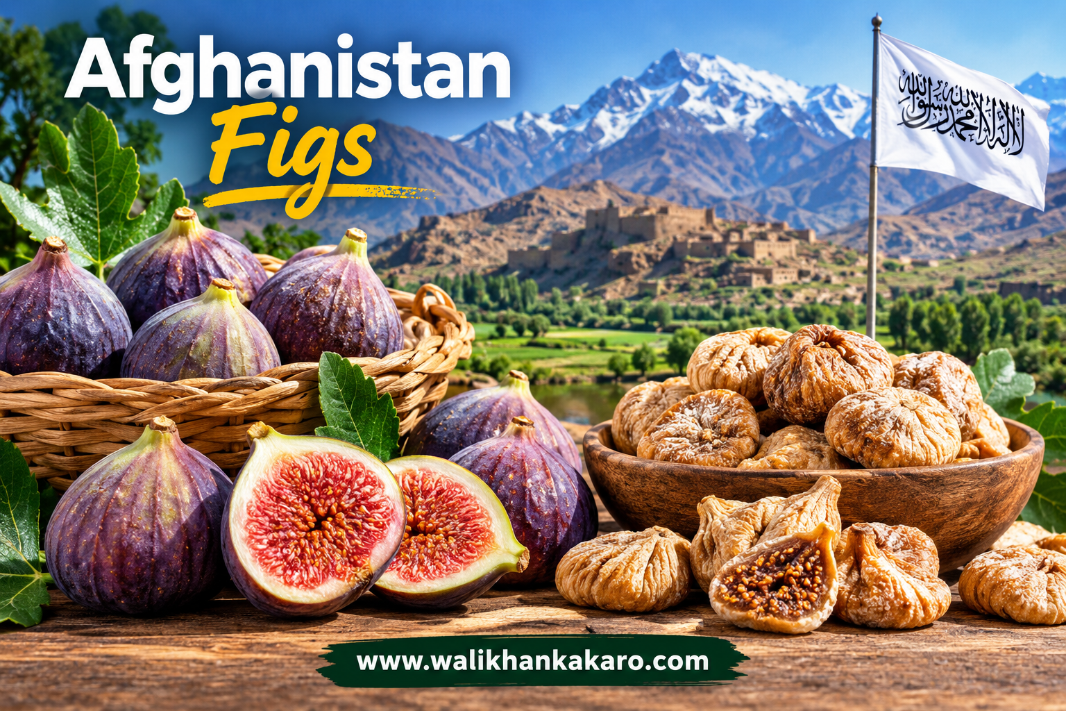 Afghanistan Figs