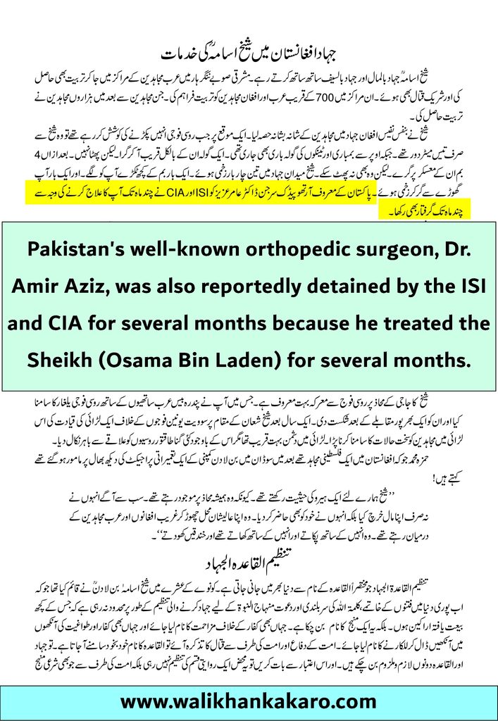 Dr Amer Aziz 1